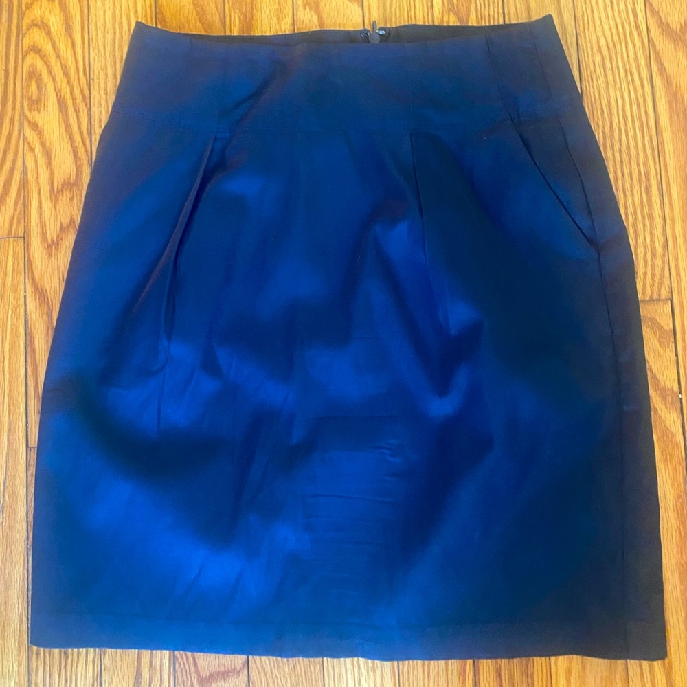 Banana Republic Pencil Skirt